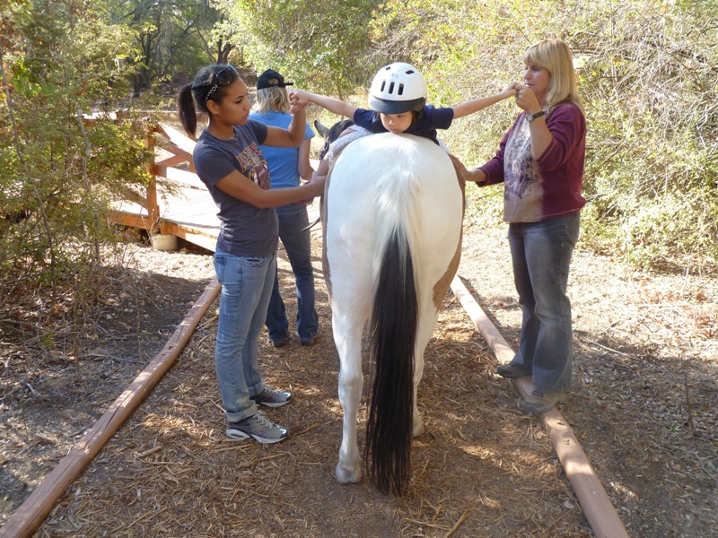 P1020560r.JPG