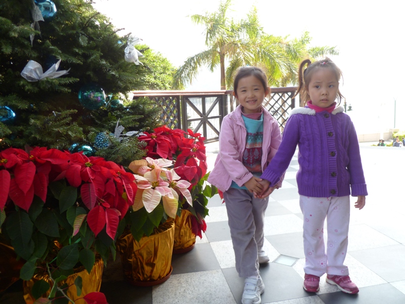 P1030647r.JPG