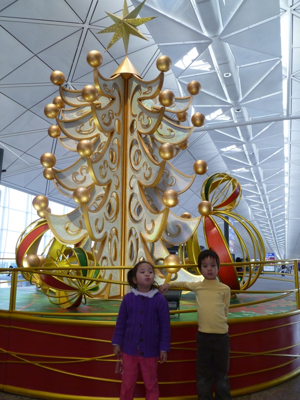 P1030677r.JPG