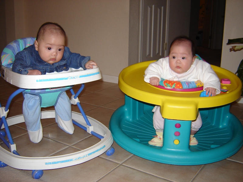 歡歡玩 Exersaucer, 聚聚坐學步機