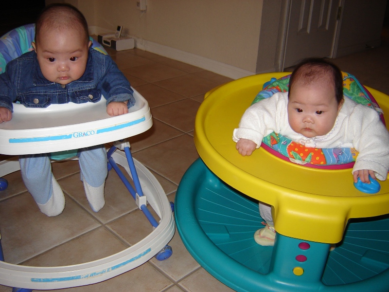 歡歡玩 Exersaucer, 聚聚坐學步機