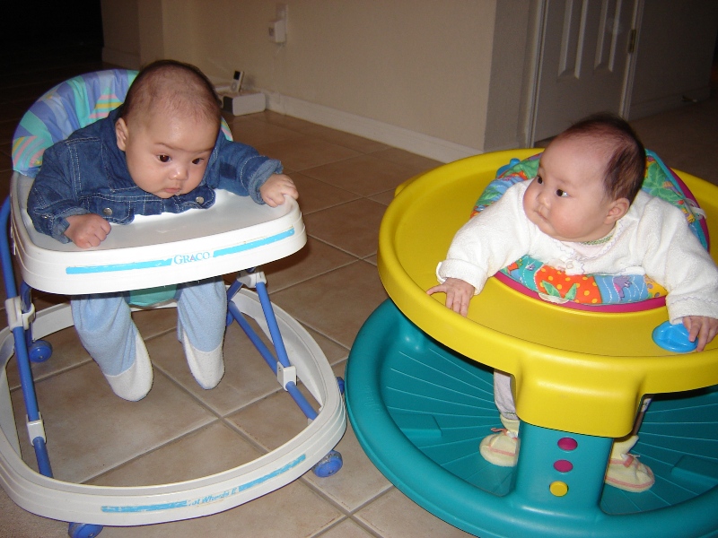 歡歡玩 Exersaucer, 聚聚坐學步機