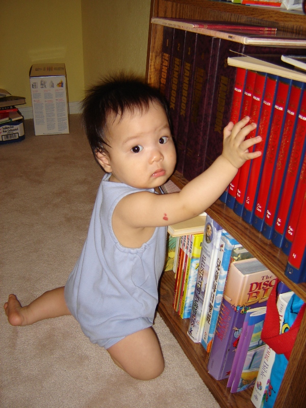 聚聚抓書
