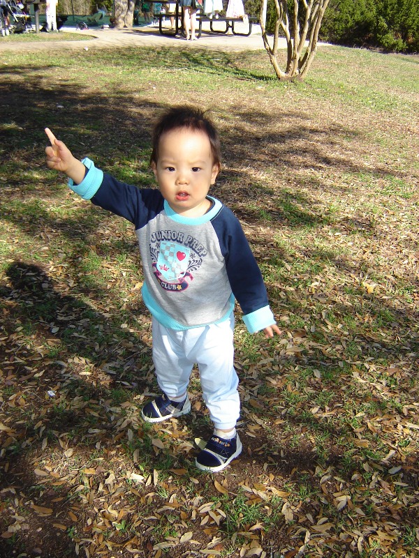 聚聚要往那裡去