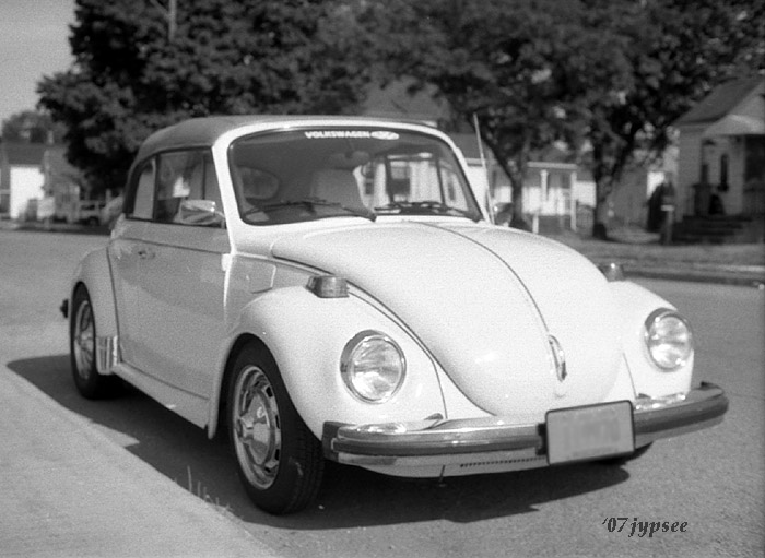 beetle