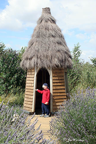 Thatched hut