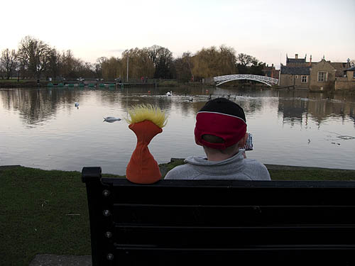 Dammit and William watching the swans and geese