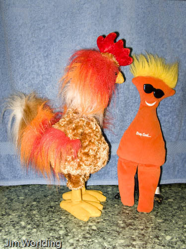 Dammit dancing with the crazy chicken