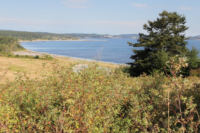 (0266) Griffin Bay