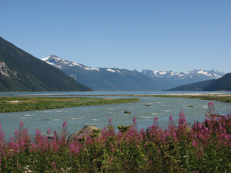 Chilkoot River (0723L)