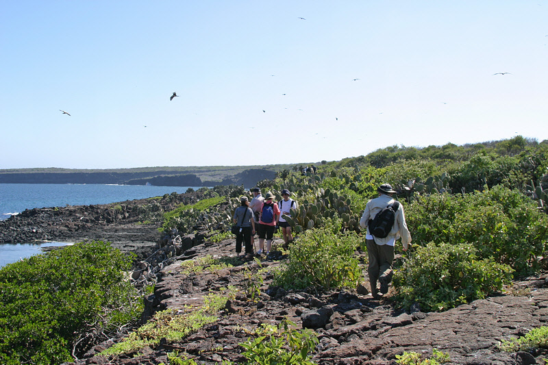 Hiking Along Darwin Bay Shoreline (3314L)