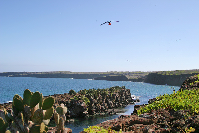 Darwin Bay Landscape (3319L)