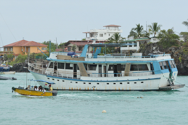 Boats in Puerto Ayora Harbor (8768)