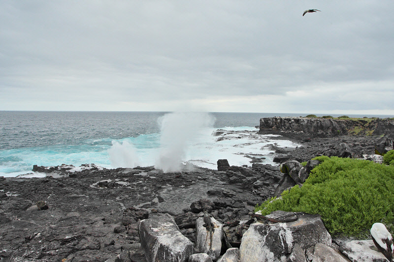 Espanola Blow Hole (9136)