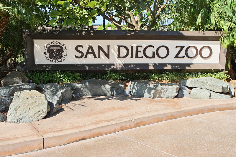 A Visit to the San Diego Zoo