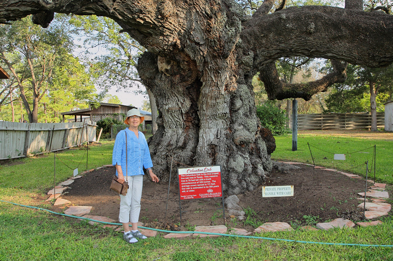Laurie by the Columbus Oak Tree (2159)
