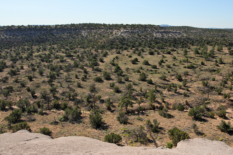 Canyon Floor Southeast of Tsankawi (2070)