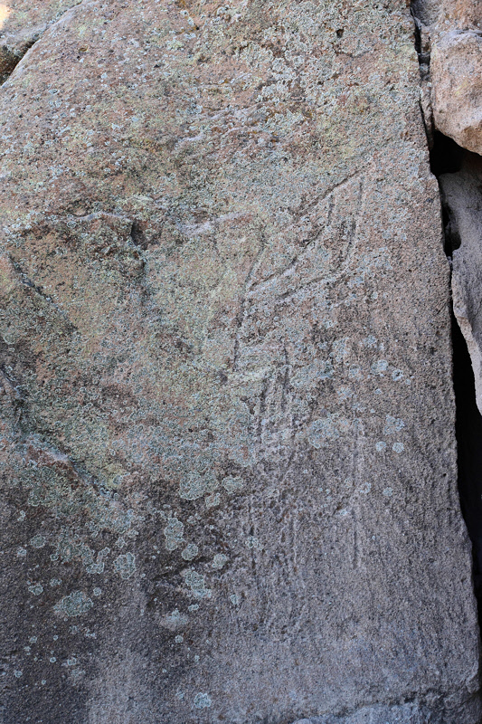 Petroglyphs (2089)