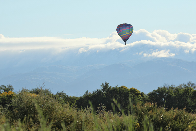 A Hot-Air Balloon Drifts Nearby (2773)