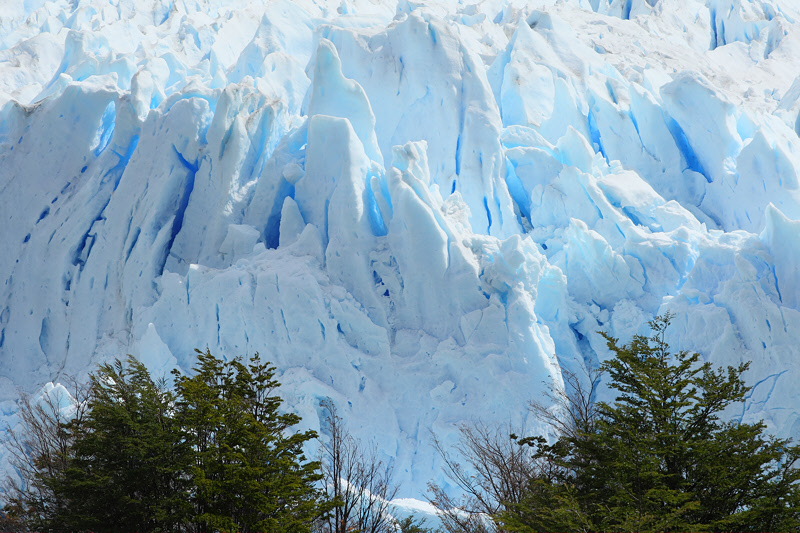 Perito Moreno Glacier (3256)