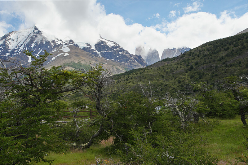 View of Torres del Paine (3561)