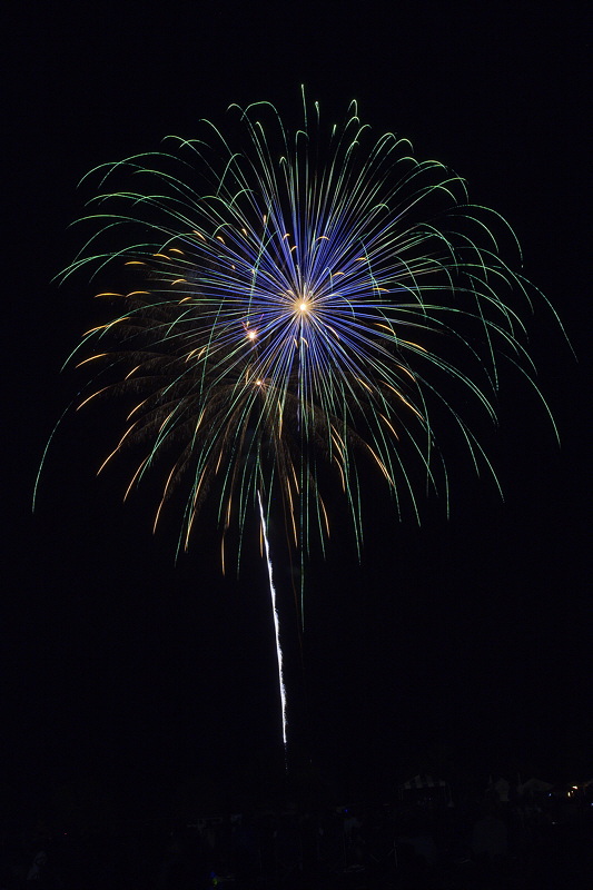 2836_Fireworks