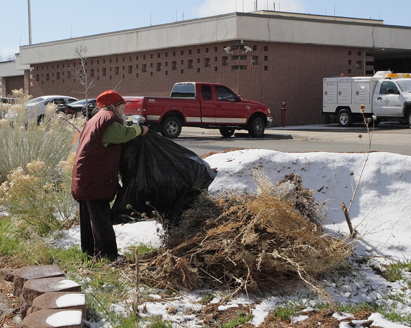 Volunteer Empties the Trash (2277)