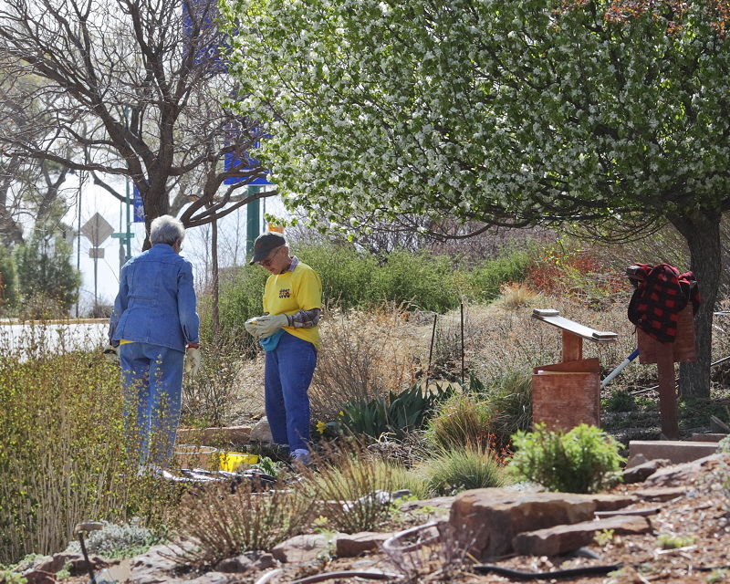 People Working in the LAMG Demonstration Garden