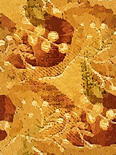 fallcolors.jpg