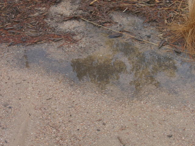 14 March Rain