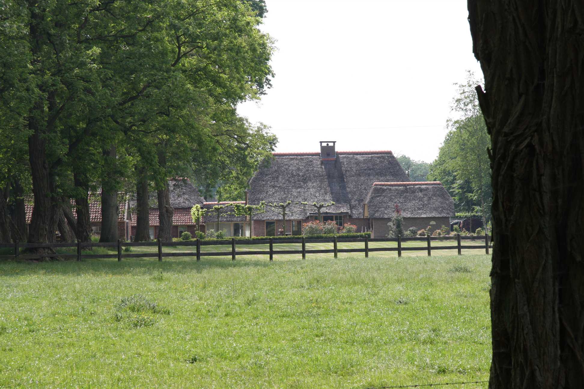 farm