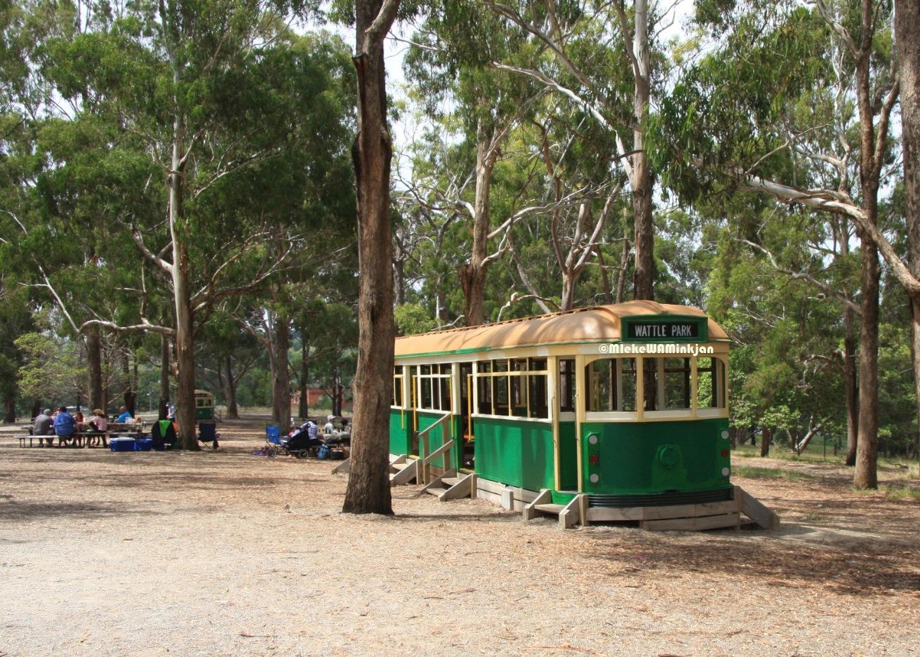 Picnic in the Park