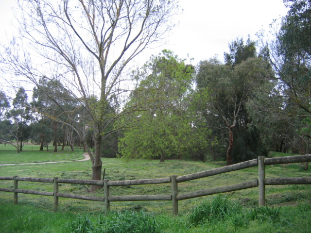 20 september A park in Ferntree Gully