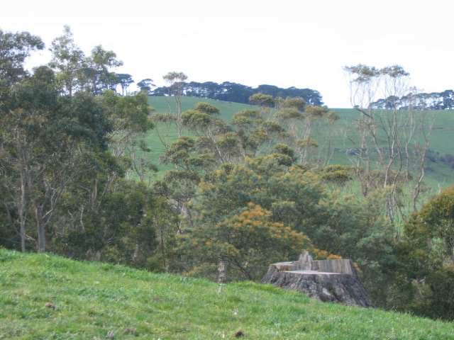 Crater and vulcano landscape