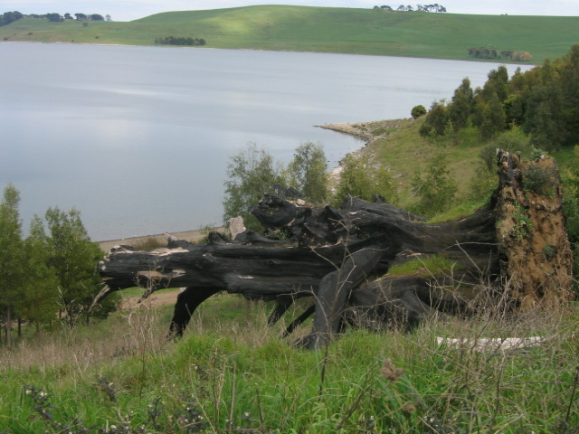 Lake Bullen Merri