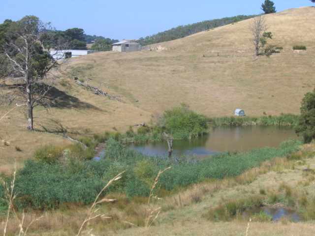 Dam