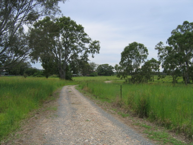 meadow in Holzheimer Rd