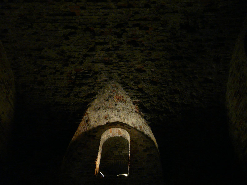 P1060469.jpg