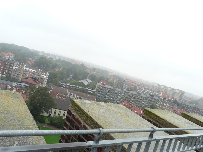 P1060478.jpg