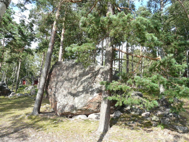 P1070510.jpg