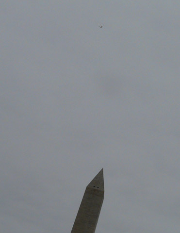 P1020989_.jpg