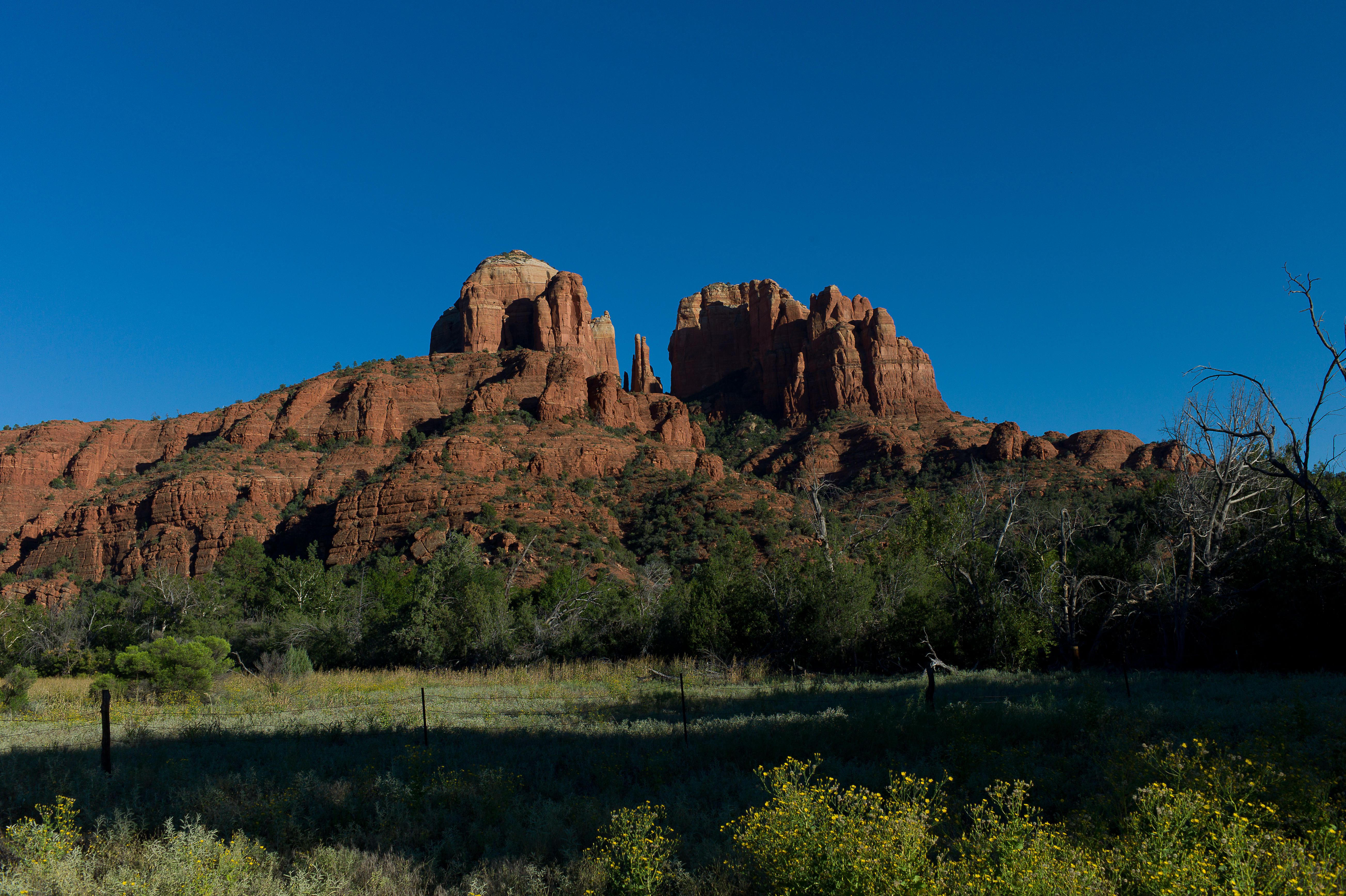  Cathedral Rock and Meadow 2