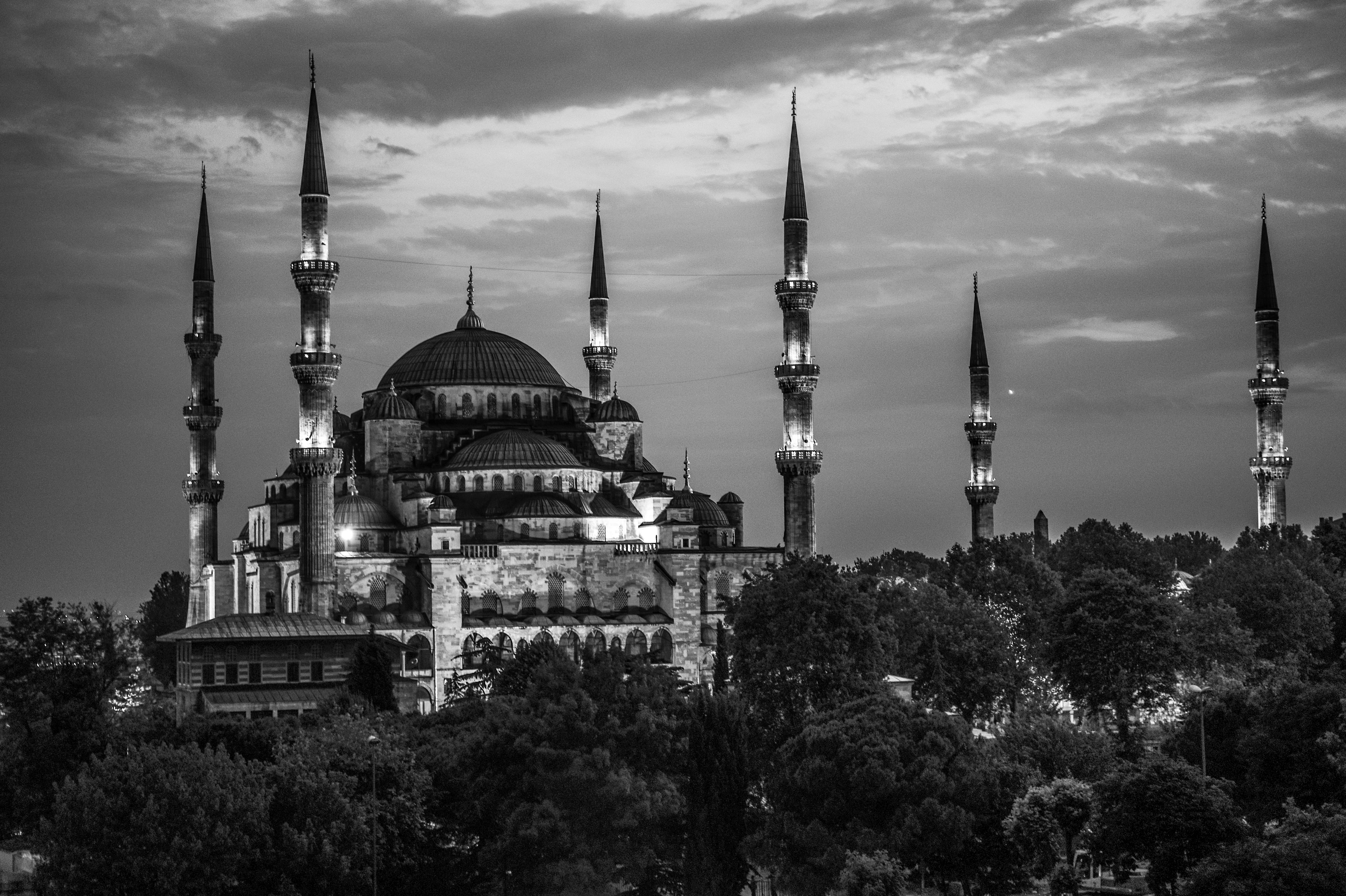 Blue Mosque Black and White