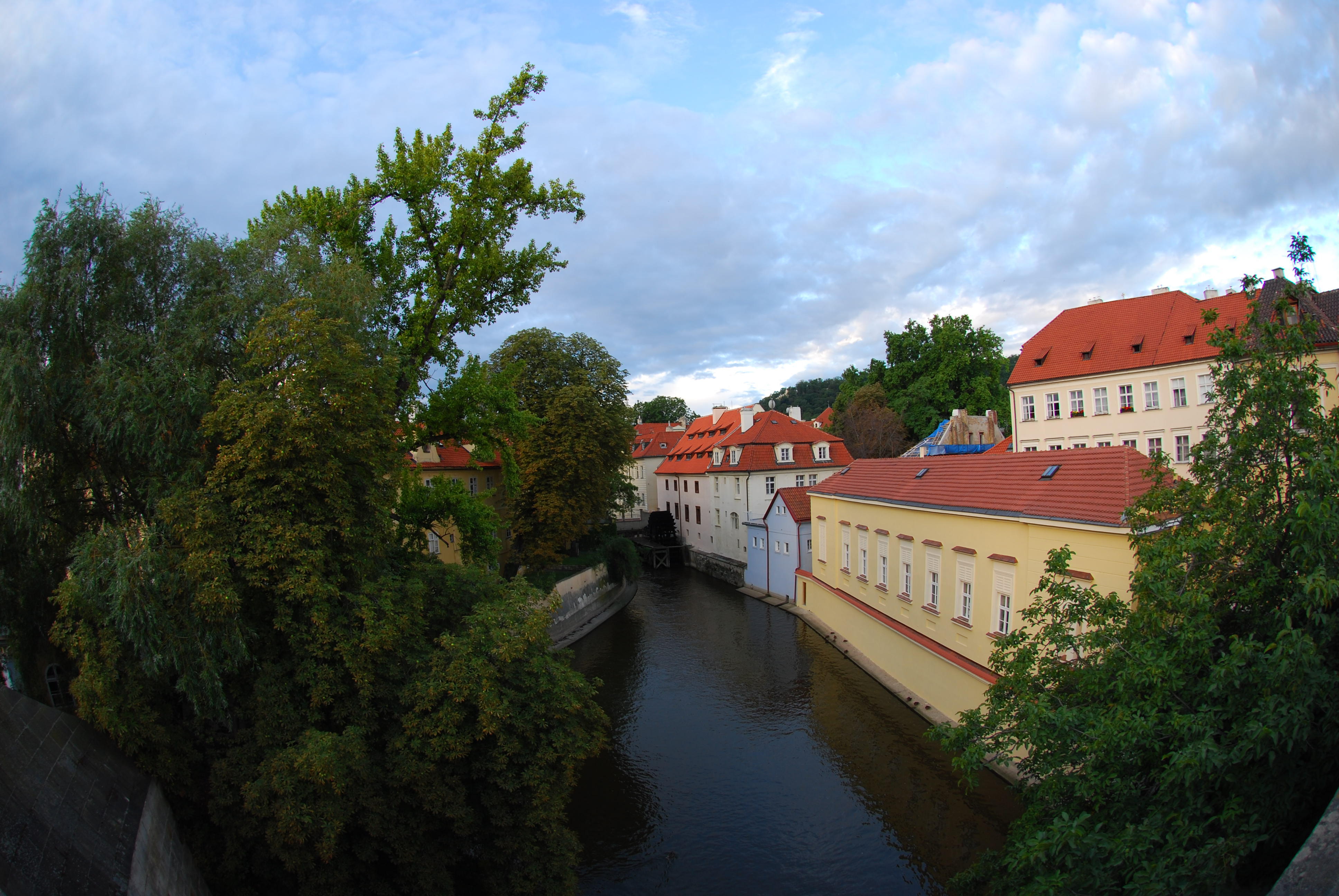 DSC_1731.JPG