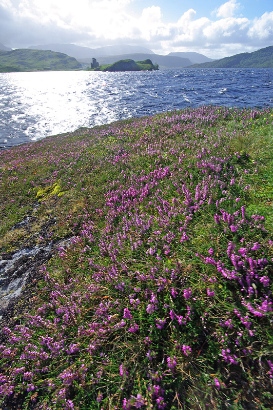 Ardvreck Castle