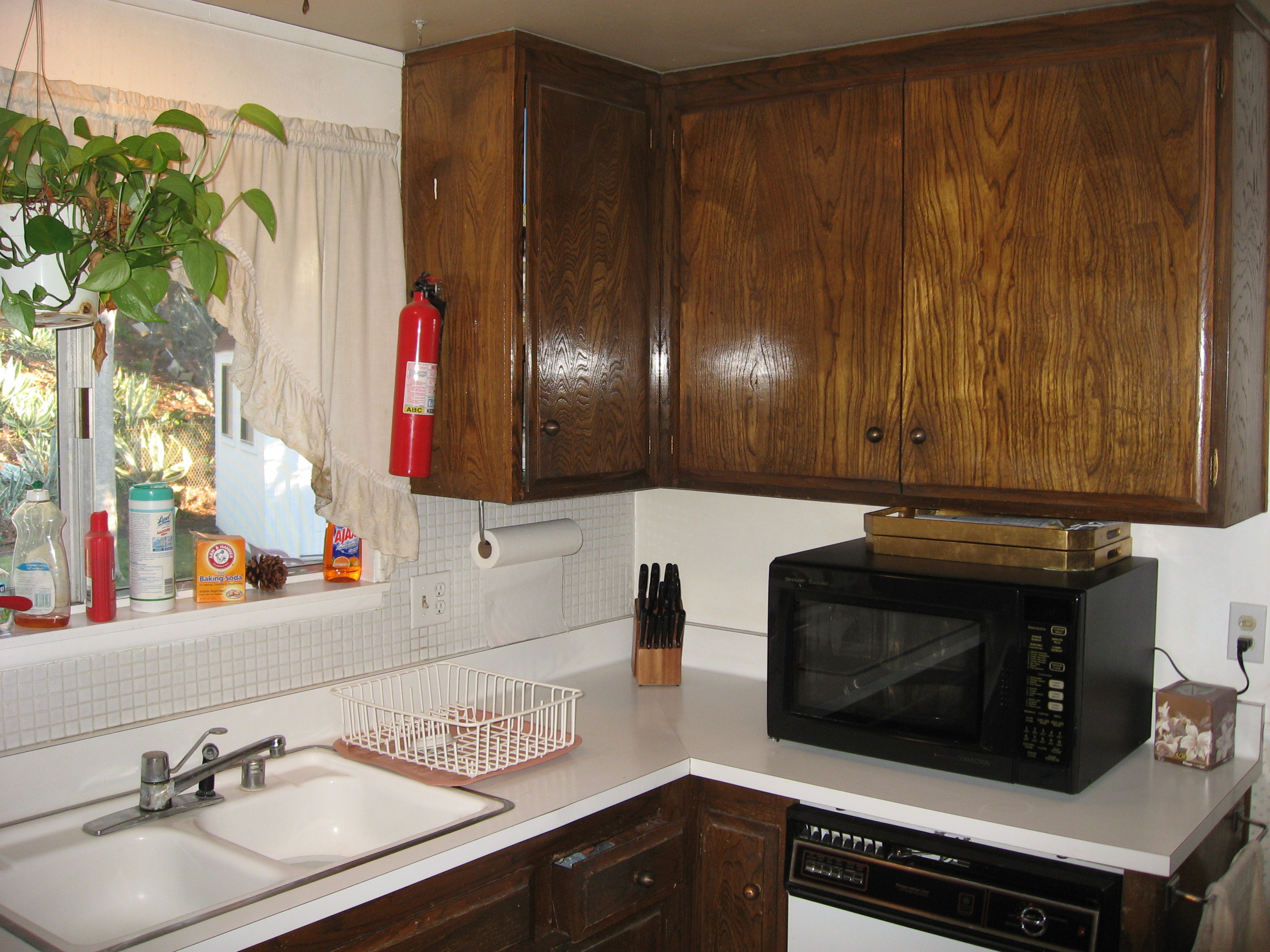 old sink, counter cabinets.JPG