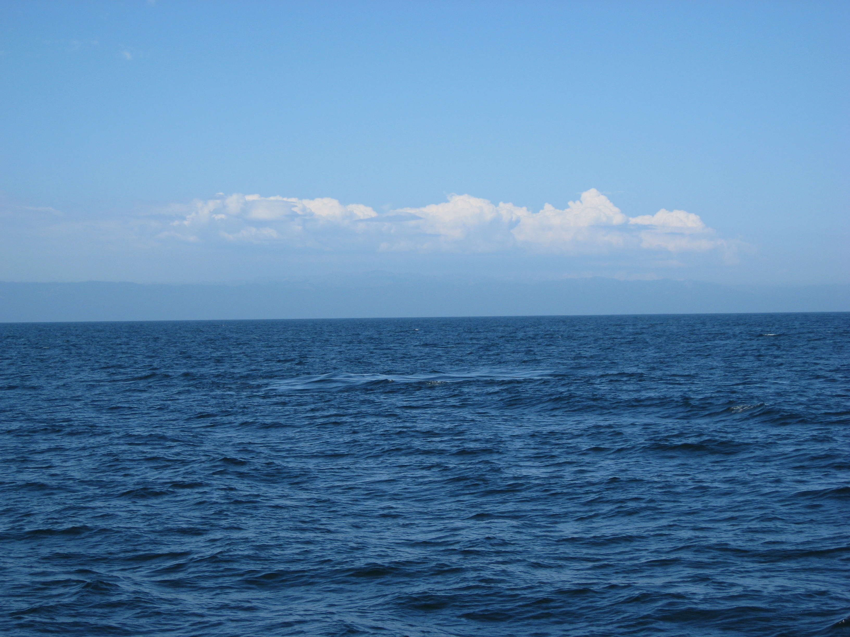 blue whale footprint.JPG