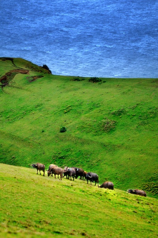 Marlboro Country