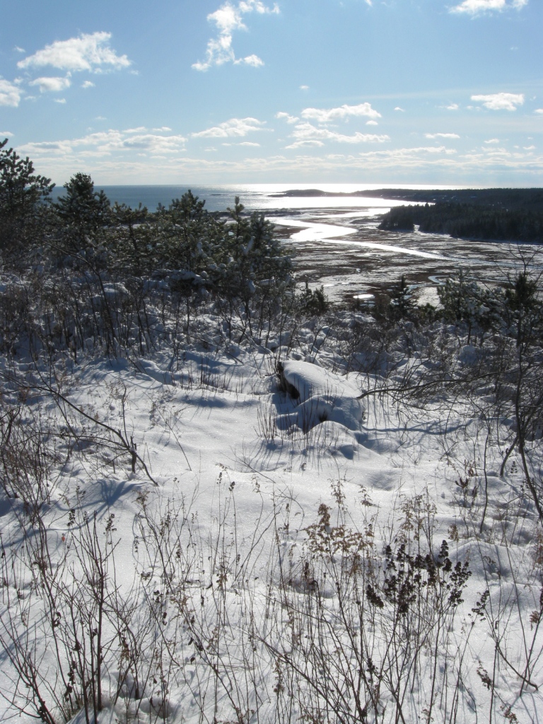 Top of Morse Mountain