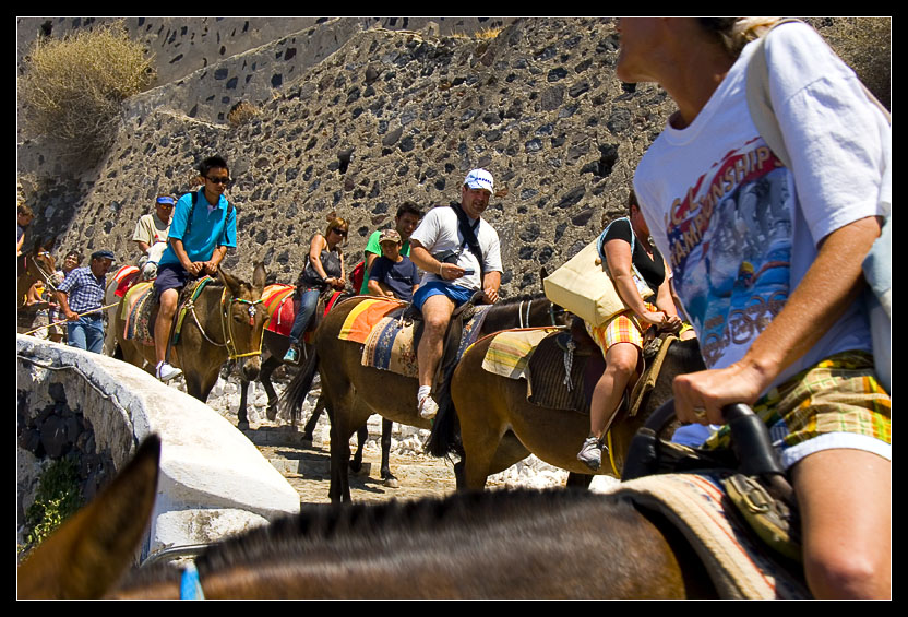 Mule Trail
